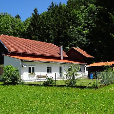 Haus Im Gruenen - Gmundennaehe Pinsdorf Exteriér fotografie