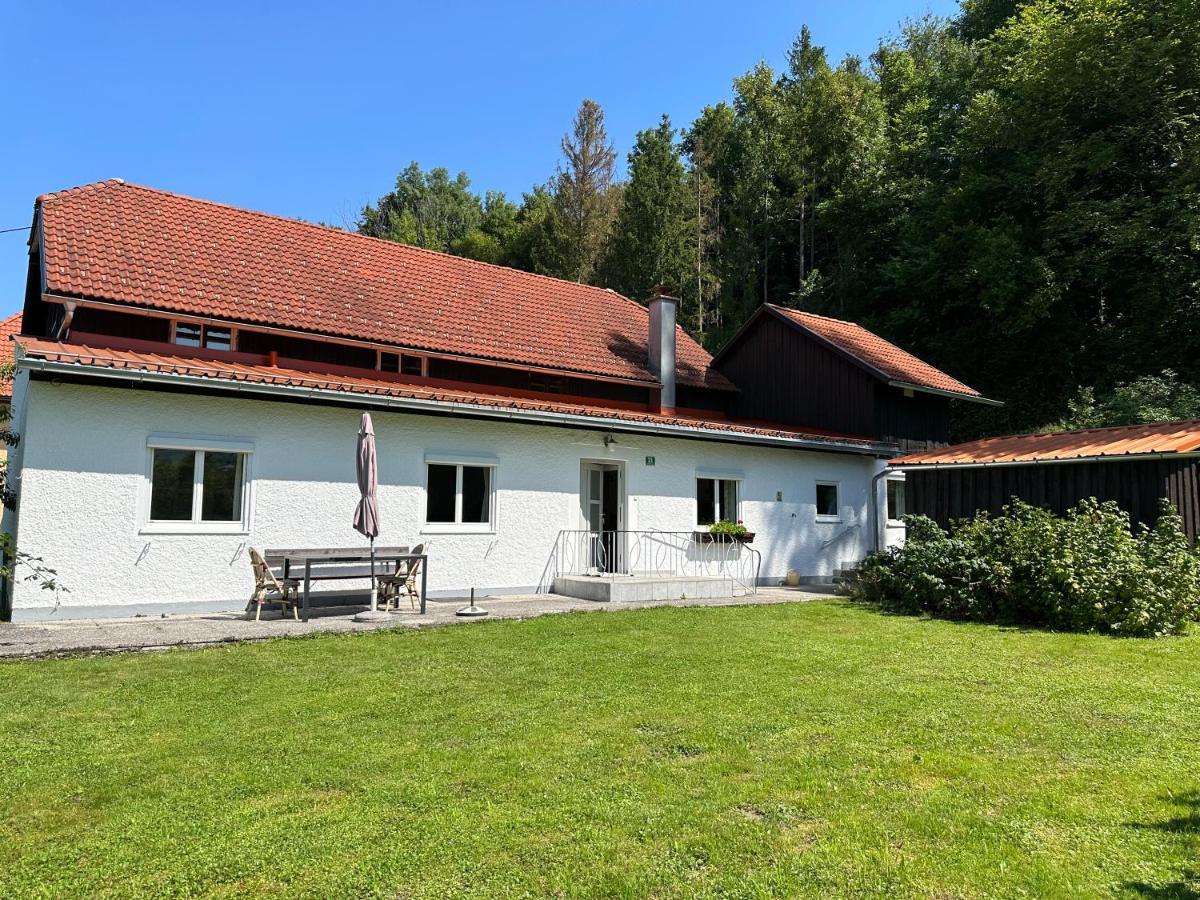 Haus Im Gruenen - Gmundennaehe Pinsdorf Exteriér fotografie
