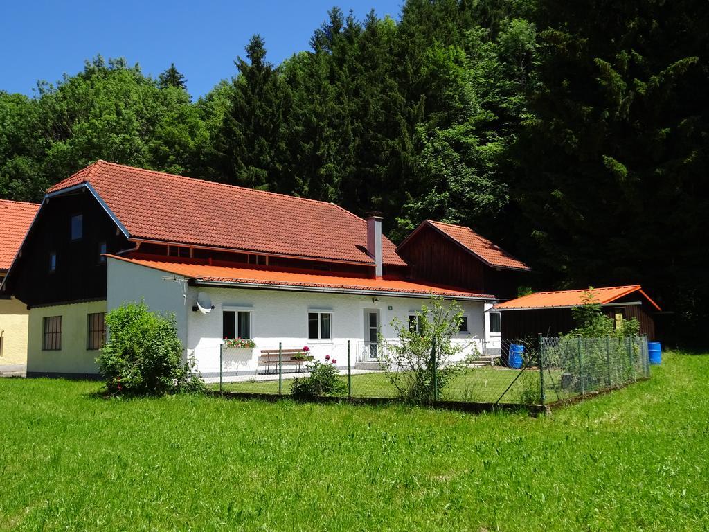 Haus Im Gruenen - Gmundennaehe Pinsdorf Exteriér fotografie
