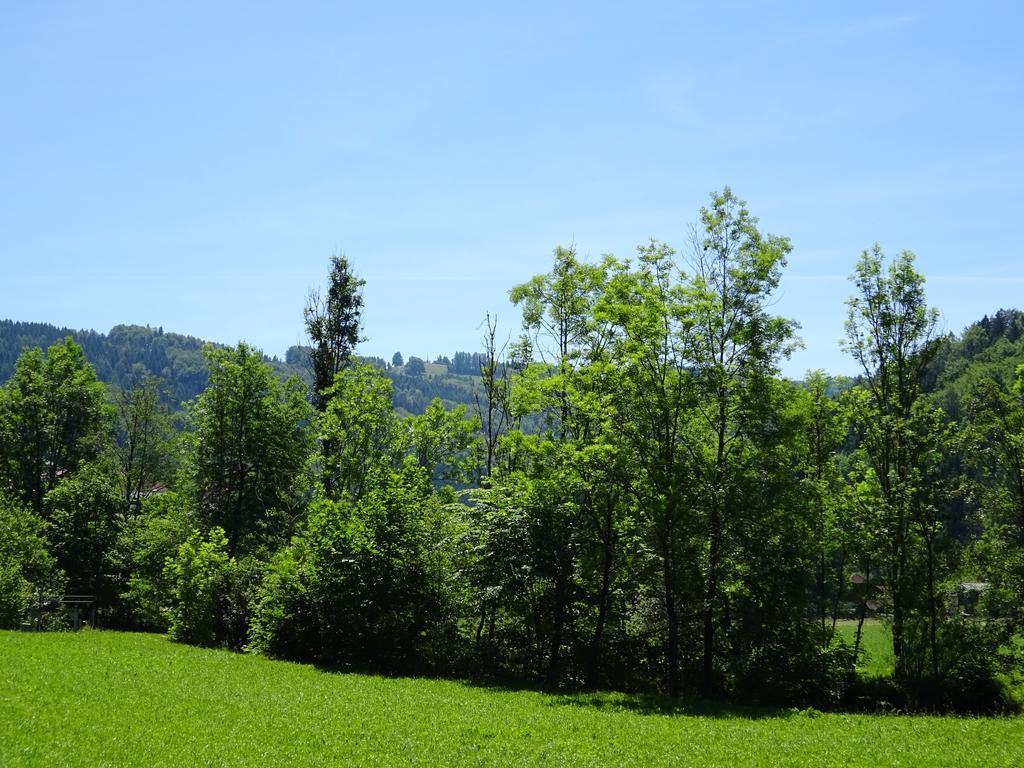 Haus Im Gruenen - Gmundennaehe Pinsdorf Exteriér fotografie