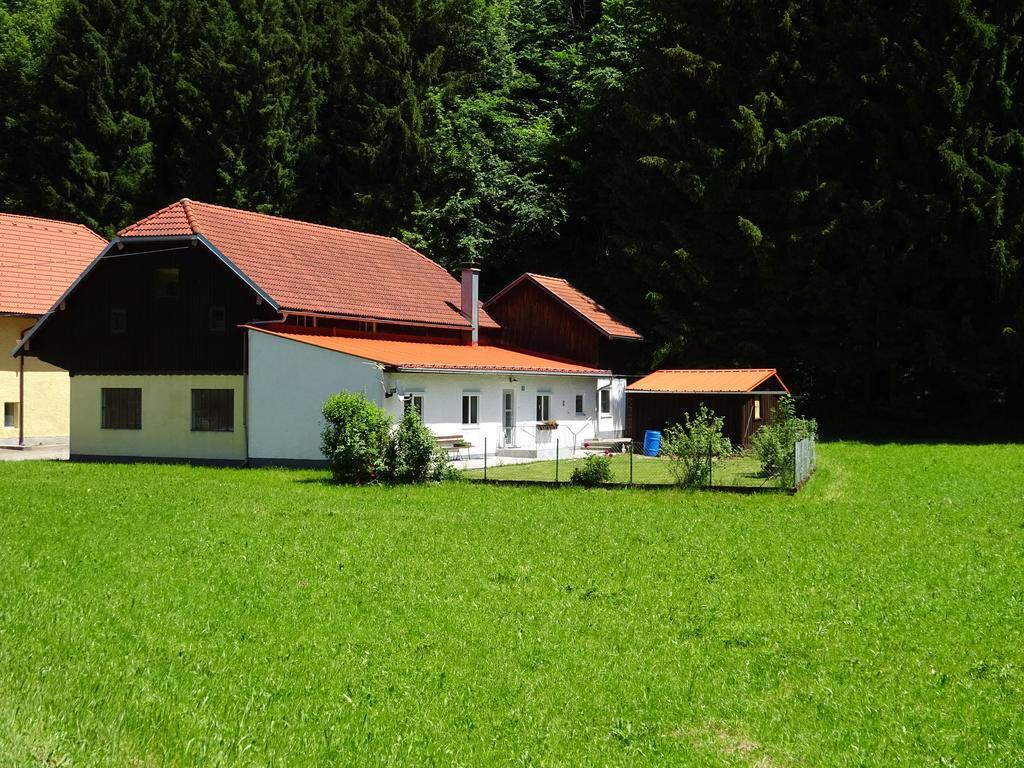 Haus Im Gruenen - Gmundennaehe Pinsdorf Exteriér fotografie